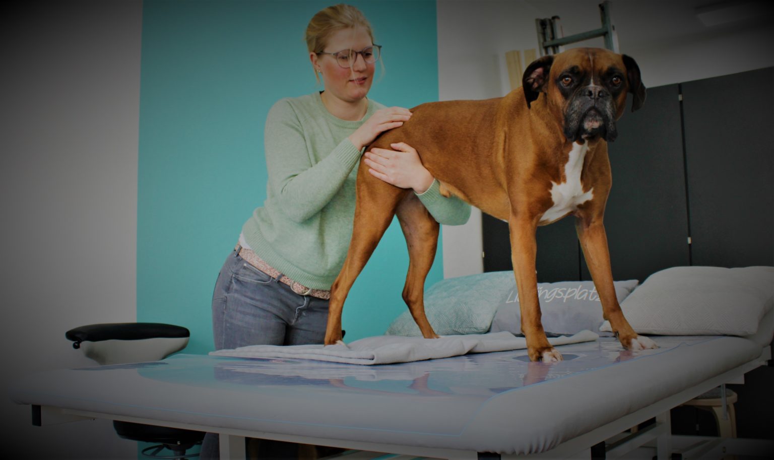 Tierphysiotherapie – Tierphysiotherapie Bochum
